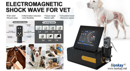 Equine Electromagnetic Shockwave Machine