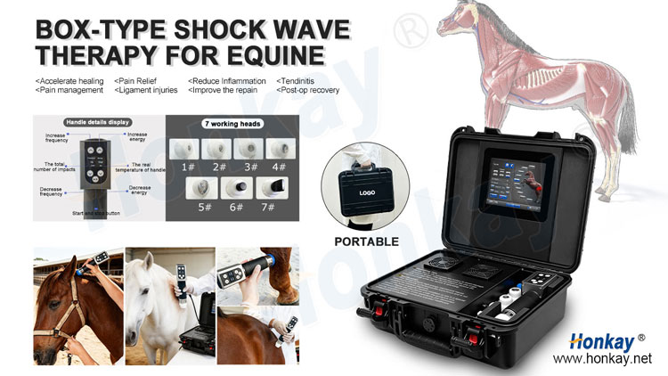 Portable Shockwave Equipment