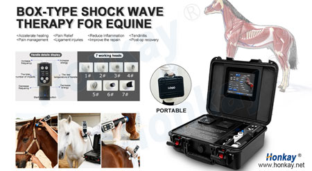 Suitcase Electromagnetic Shockwave Machine