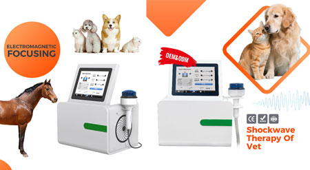 animal focused shockwave device