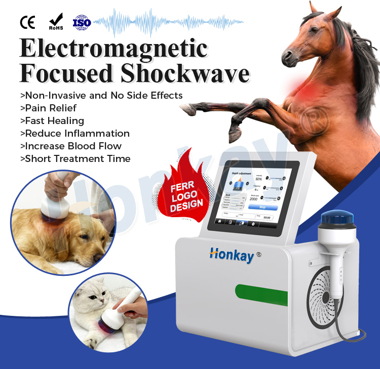horse-shockwave-machine-20260512
