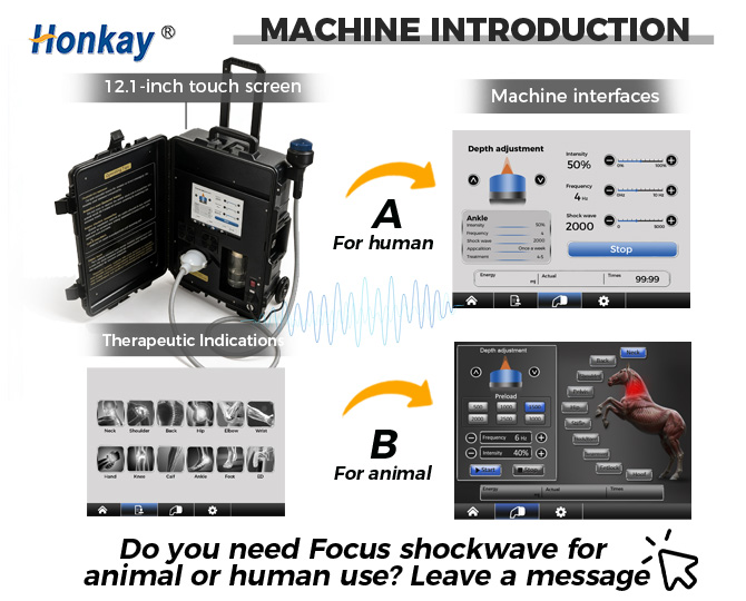new portable shock wave device
