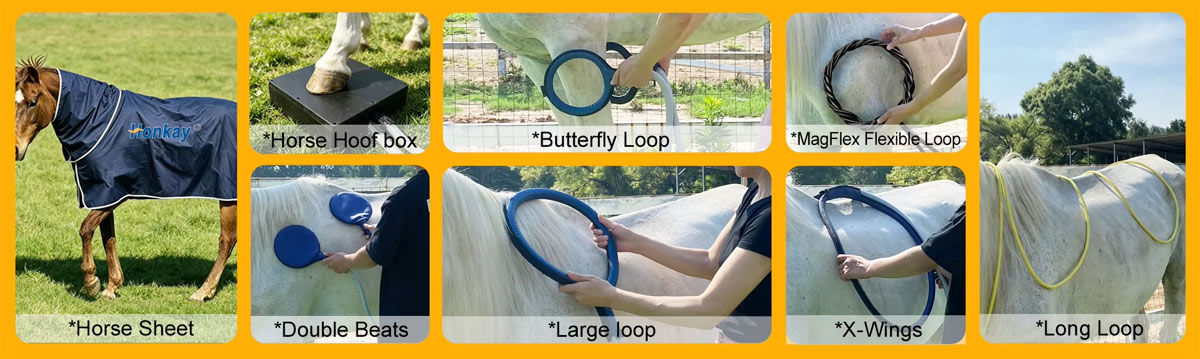 Pemf Device Accessories for Horses