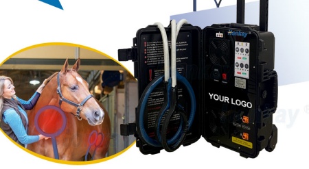 pemf machine horse use