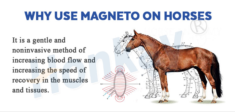 pemf machine for horses