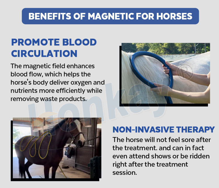 pemf machine for horses