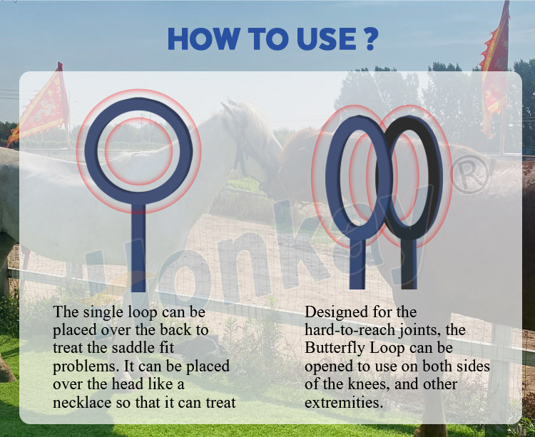 pemf machine for horses