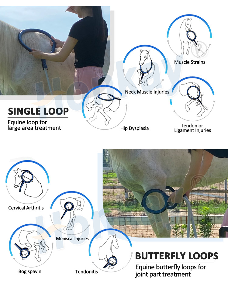 pemf machine for horses