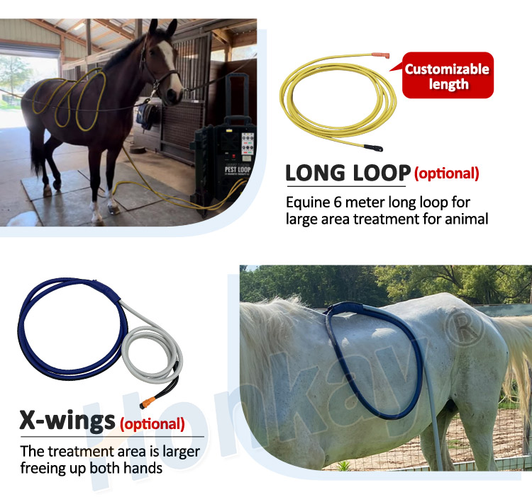 pemf machine for horses