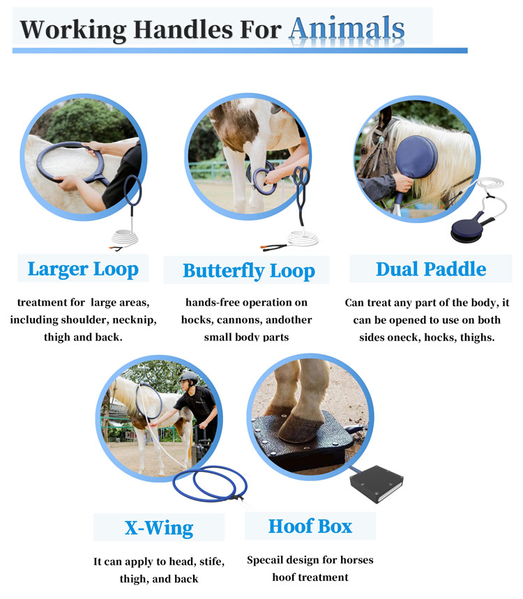 pmst loop pro max